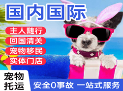 忻州航空快运国际宠物托运 【国